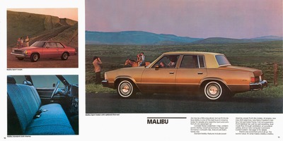 1981 Chevrolet Malibu-10-11.jpg